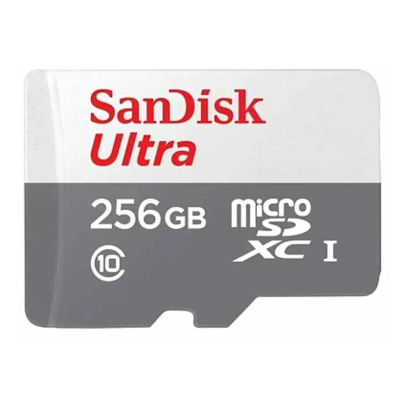 Карта памяти Micro SecureDigital 256Gb SanDisk Ultra microSDXC class 10 UHS-1 (SDSQUNR-256G-GN3MN)