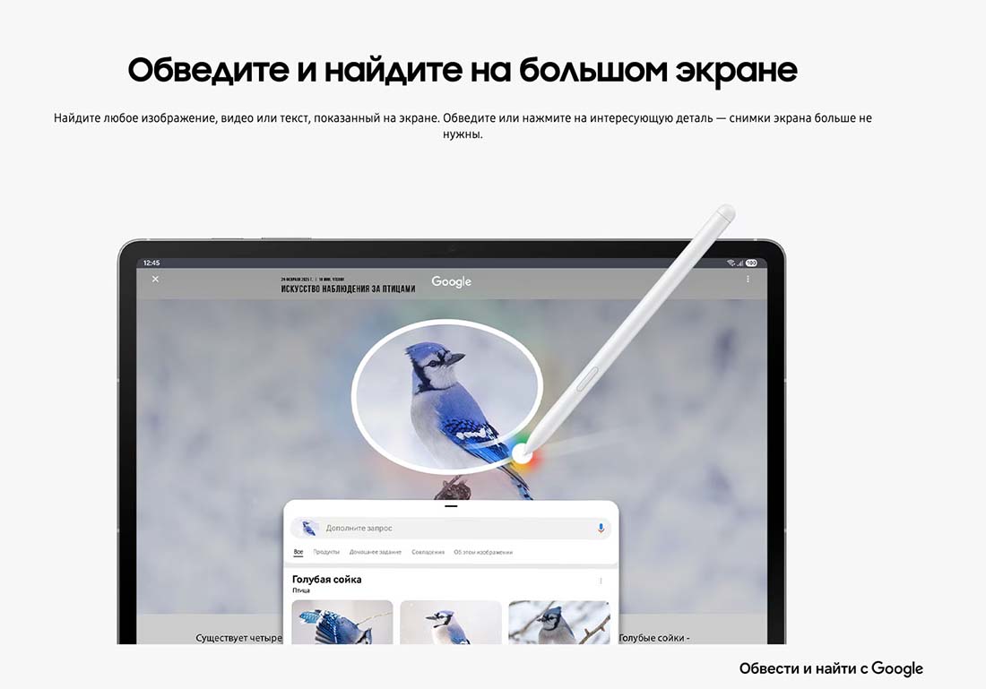 galaxy-tab-s10-fe в Казани galaxy-tab-s10-fe