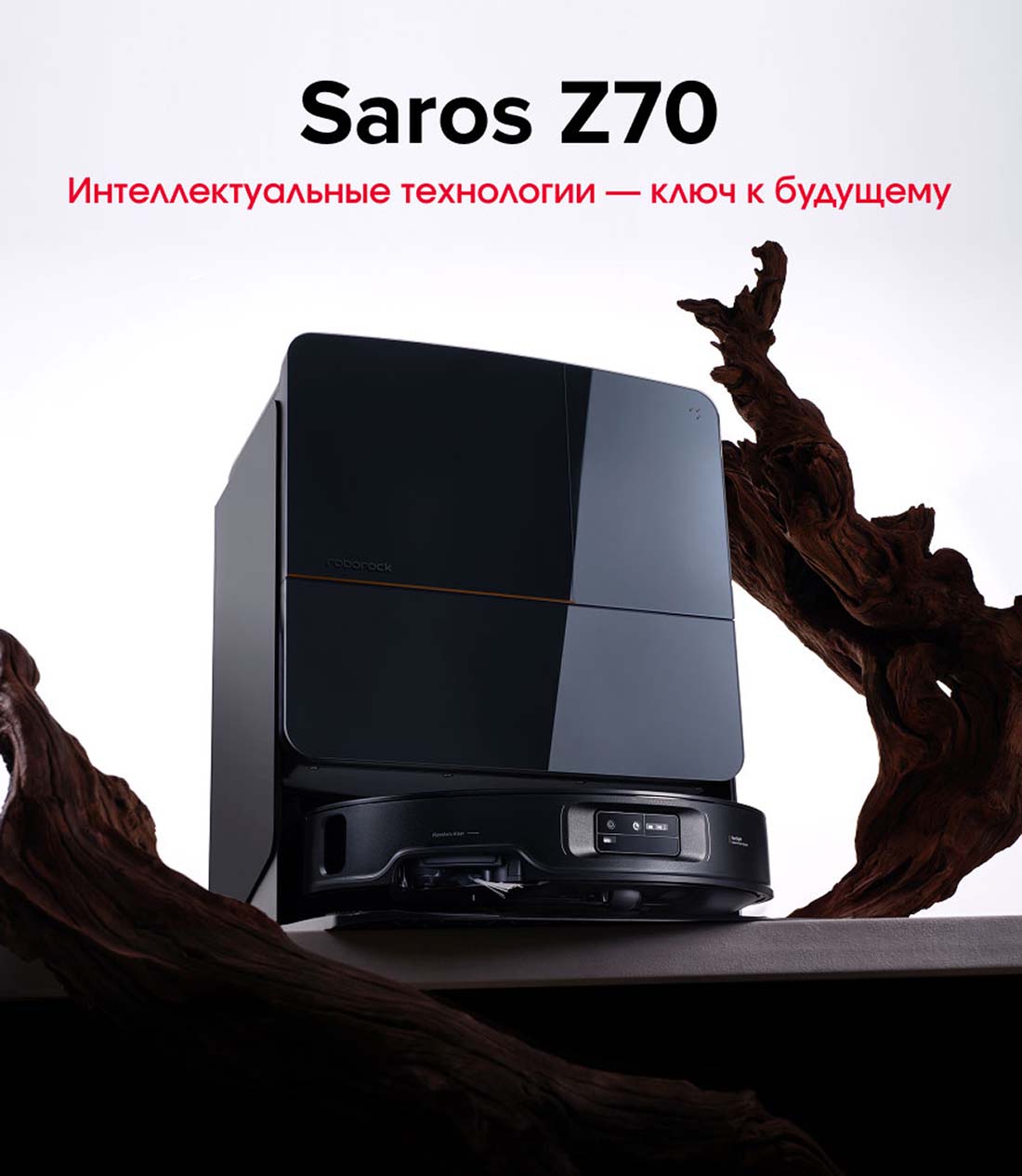 roborock-z70 в Казани roborock-z70