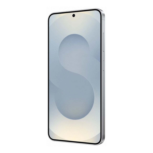 Samsung Galaxy S25 12/256Gb Silver Shadow, серый