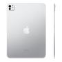 Apple iPad Pro 13" (M4, 2024, 7 gen) Wi-Fi + Cellular 2Tb, нанотекстурное стекло, Silver, серебристый